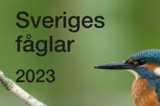 En fågel mot grön bakgrund med texten Sveriges fåglar 2023. Foto.