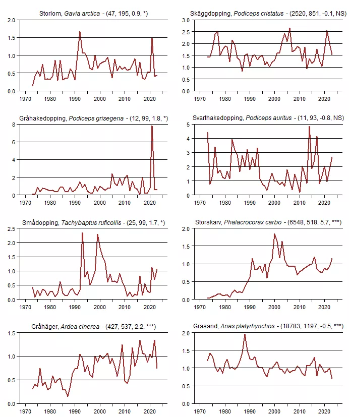 Populationstrender för en grupp arter baserat på sjöfågelräkningarna i september