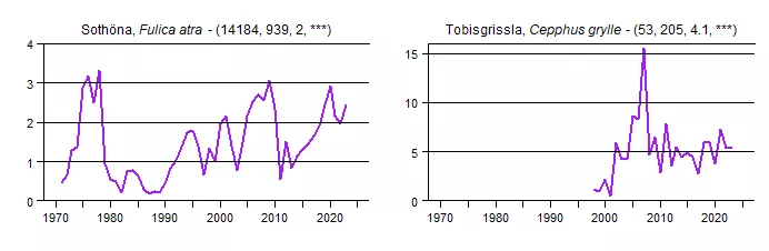 Populationstrender för en grupp arter baserat på sjöfågelräkningarna i januari