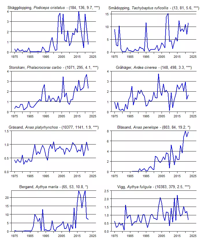 Populationstrender för en grupp arter baserat på vinterpunktrutterna.