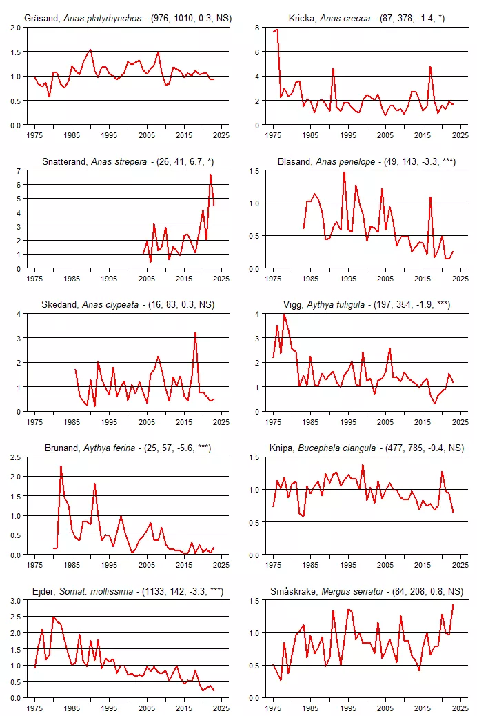 Populationstrender för en grupp arter baserat på sommarpunktrutterna.