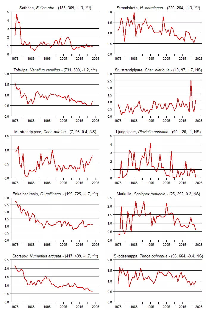 Populationstrender för en grupp arter baserat på sommarpunktrutterna.