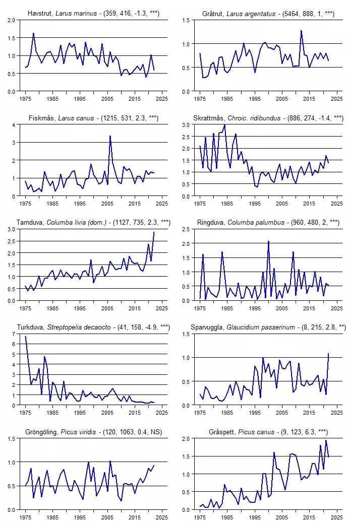 Populationstrender för en grupp arter baserat på vinterpunktrutterna.