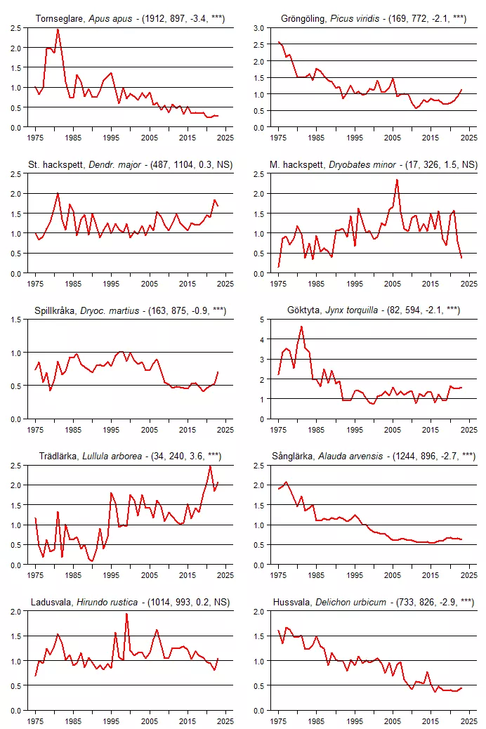 Populationstrender för en grupp arter baserat på sommarpunktrutterna.