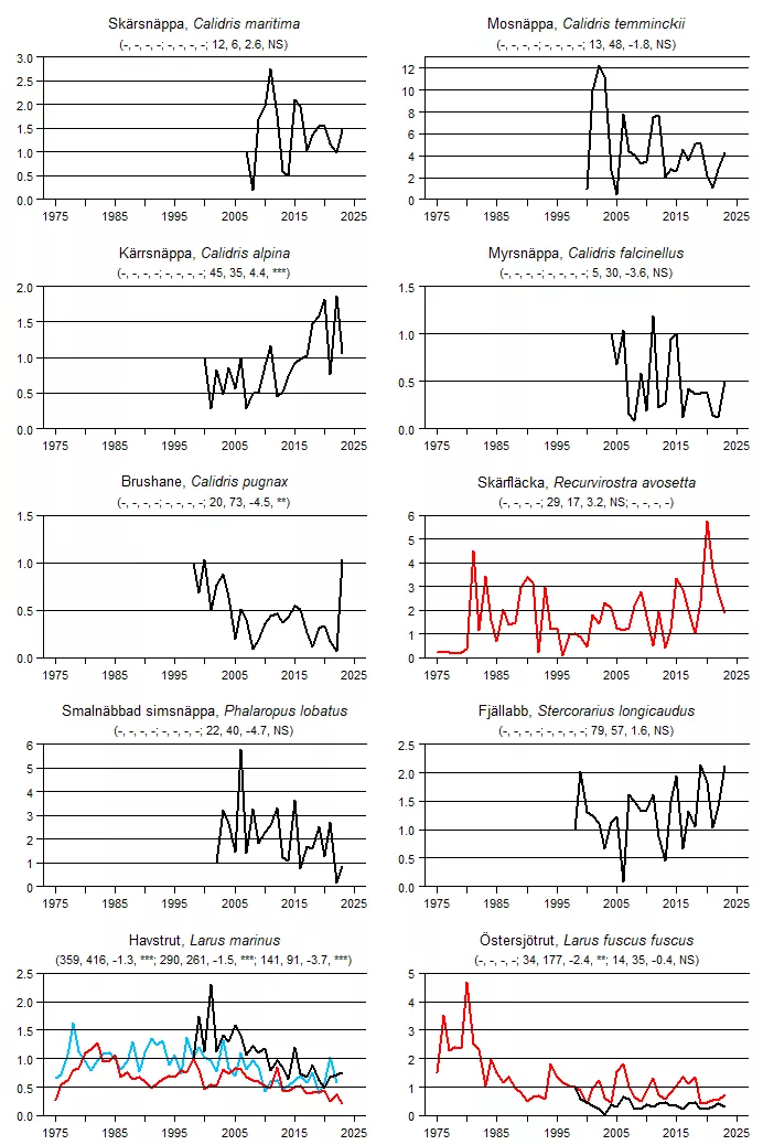 Populationstrender för en grupp arter baserat på sommarpunktrutter, vinterpunktrutter och standardrutter.